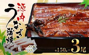 源内うなぎ（3尾） 372013_ES008