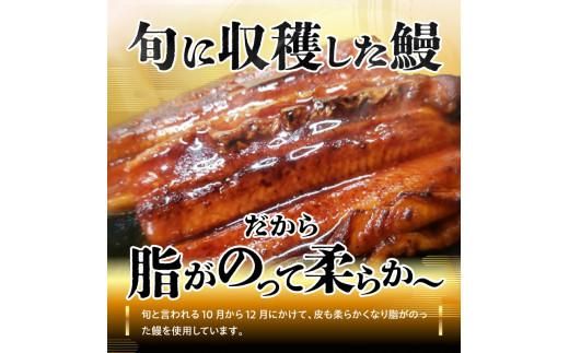 源内うなぎ（3尾） 372013_ES008