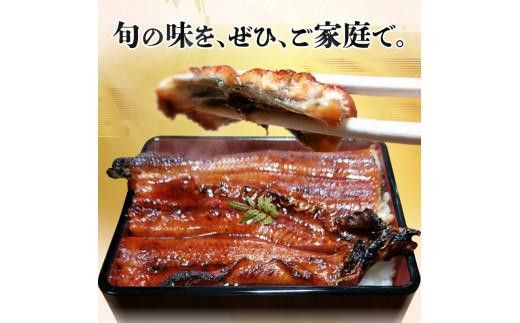 【お中元ギフト】源内うなぎ（3尾） 372013_ES015