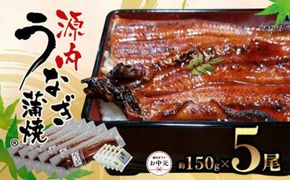 【お中元ギフト】源内うなぎ（5尾） 372013_ES016