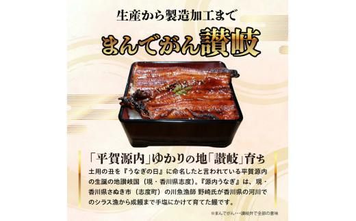 【お中元ギフト】源内うなぎ（5尾） 372013_ES016