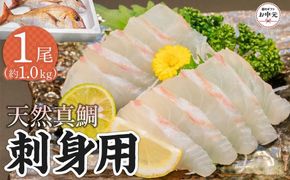 【お中元ギフト】天然真鯛 刺身用（4人～5人前） 372013_ES018