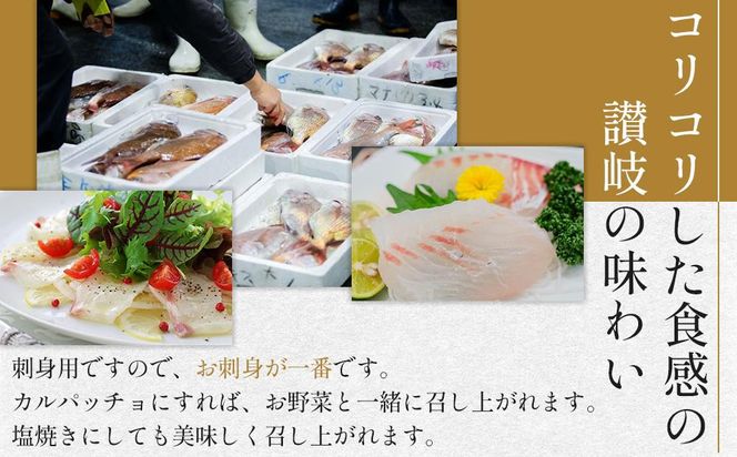 【お中元ギフト】天然真鯛 刺身用（4人～5人前） 372013_ES018