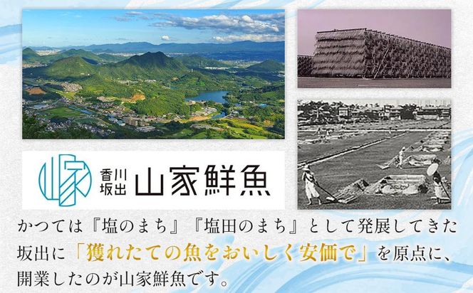 【お中元ギフト】天然真鯛 刺身用（4人～5人前） 372013_ES018