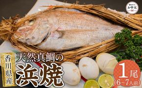 【お中元ギフト】天然真鯛の浜焼1尾（6人～7人前） 372013_ES019
