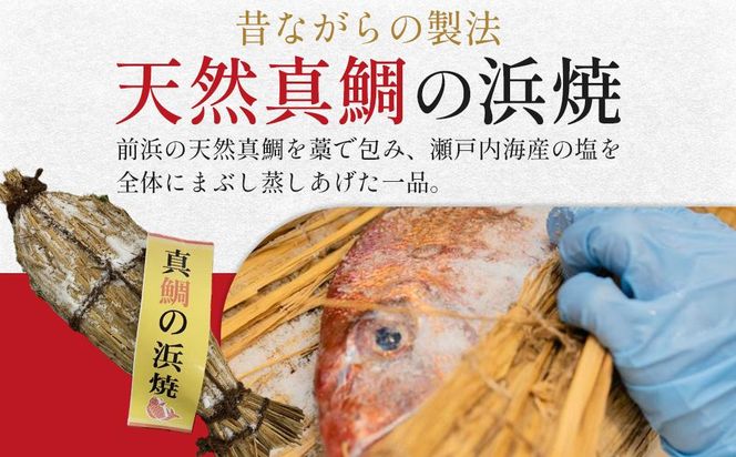 【お中元ギフト】天然真鯛の浜焼1尾（6人～7人前） 372013_ES019