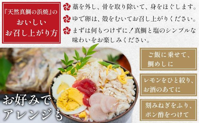 【お中元ギフト】天然真鯛の浜焼1尾（6人～7人前） 372013_ES019