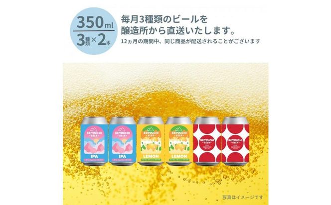 【定期便】クラフトビール定期便 毎月6缶 12ヵ月 372013_EZ010