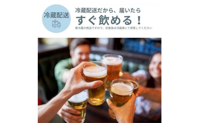 【定期便】クラフトビール定期便 毎月6缶 6ヵ月 372013_EZ011