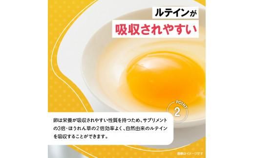 光の刺激から目を守る　ルテイン含有卵　機能性表示食品「あらん」　6個入り3パック 372013_FB001