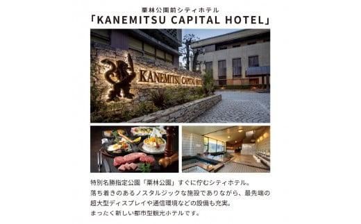 電動バイクＧＯＧＯ！で回る「さぬき有名うどん店食事券+ホテル一泊宿泊券」付周遊券(1名様用） 372013_FJ002