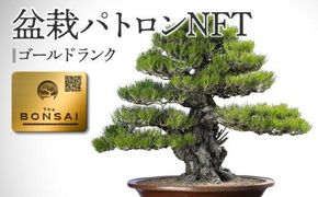 【ふるさと納税】盆栽パトロンNFT ゴールドランク（デジタル商品・実物の盆栽は含まれません） 372013_FU001