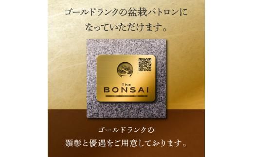 【ふるさと納税】盆栽パトロンNFT ゴールドランク（デジタル商品・実物の盆栽は含まれません） 372013_FU001