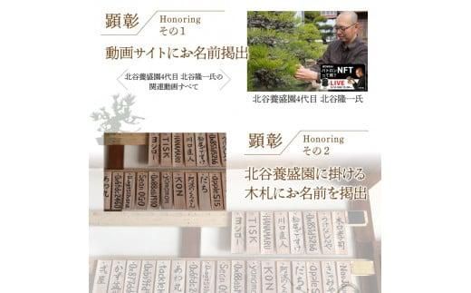 【ふるさと納税】盆栽パトロンNFT ゴールドランク（デジタル商品・実物の盆栽は含まれません） 372013_FU001