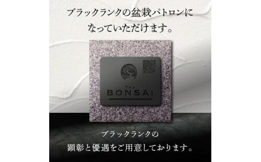 【ふるさと納税】盆栽パトロンNFT ブラックランク（デジタル商品・実物の盆栽は含まれません） 372013_FU002