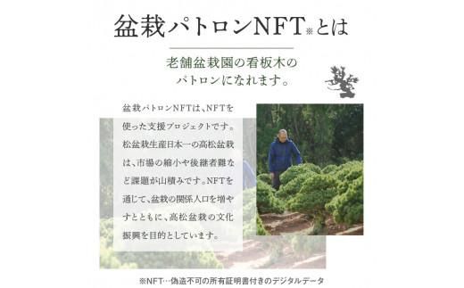 【ふるさと納税】盆栽パトロンNFT 特別ランク（デジタル商品・実物の盆栽は含まれません） 372013_FU003
