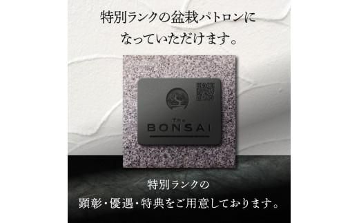 【ふるさと納税】盆栽パトロンNFT 特別ランク（デジタル商品・実物の盆栽は含まれません） 372013_FU003