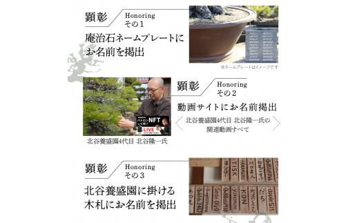 【ふるさと納税】盆栽パトロンNFT 特別ランク（デジタル商品・実物の盆栽は含まれません） 372013_FU003