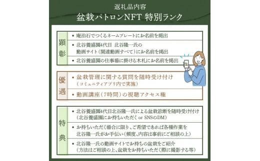 【ふるさと納税】盆栽パトロンNFT 特別ランク（デジタル商品・実物の盆栽は含まれません） 372013_FU003