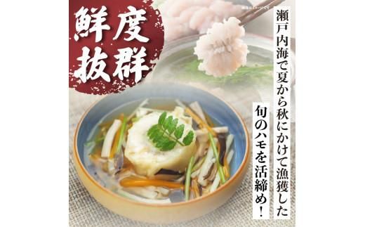 瀬戸内海のハモの骨切り（鍋・天ぷら用） 372013_FV002