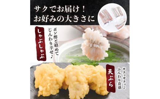 瀬戸内海のハモの骨切り（鍋・天ぷら用） 372013_FV002