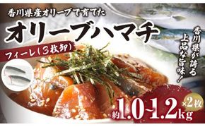 オリーブハマチ（養殖）　フィーレ（3枚卸） 372013_FV004