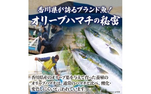 オリーブハマチ（養殖）　フィーレ（3枚卸） 372013_FV004