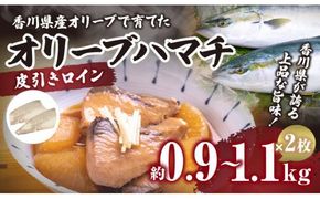 オリーブハマチ（養殖）　皮引きロイン 372013_FV005