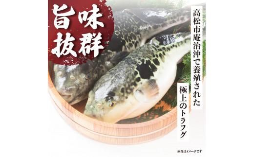 トラフグ身欠き（養殖） 372013_FV006