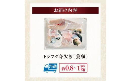 トラフグ身欠き（養殖） 372013_FV006