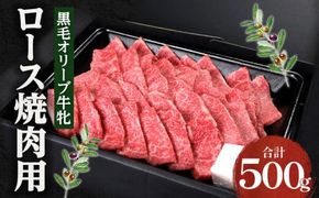 焼肉一牛家黒毛オリーブ牛牝ロース焼肉用500g 372013_FX006