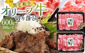 オリーブ牛切り落とし 600g（300g×2パック） 372013_GB001