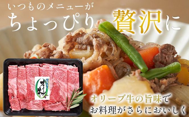 オリーブ牛切り落とし 600g（300g×2パック） 372013_GB001