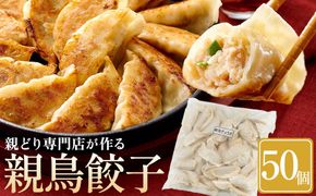 親どり専門店が作る親鳥餃子（50個） 372013_GK011