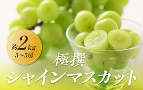 【2026年8月中旬より順次発送】極撰！シャインマスカット　約2kg(3～5房)｜ぶどう マスカット シャインマスカット ブドウ 種なしぶどう 種無し 葡萄 果物 フルーツ くだもの 先行予約 冷蔵 香川 高松 372013_GM002