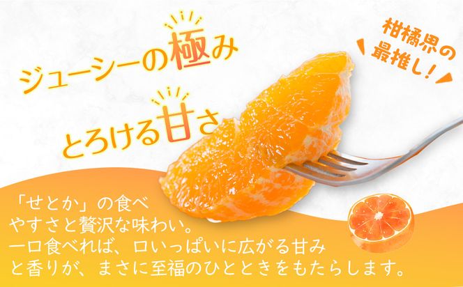 【2026年2月中旬より順次発送】柑橘界の大トロ！せとか　約3kg｜果物 くだもの フルーツ 柑橘 みかん せとか ミカン 人気 おすすめ お土産 ギフト 贈答 家庭用 先行予約 人気 おすすめ 香川 高松 372013_GM004