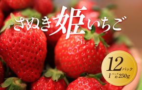 【2026年1月中旬より順次発送】さぬき姫いちご　12パック(1パック約250g)｜果物 くだもの フルーツ イチゴ いちご 苺 さぬきひめ 先行予約 人気 おすすめ ギフト 372013_GM006