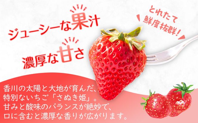 【2026年1月中旬より順次発送】さぬき姫いちご　12パック(1パック約250g)｜果物 くだもの フルーツ イチゴ いちご 苺 さぬきひめ 先行予約 人気 おすすめ ギフト 372013_GM006