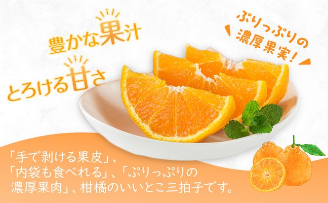 【2026年3月上旬より順次発送】厳選！濃厚甘味の「不知火(しらぬい)」約3kg｜果物 くだもの フルーツ 柑橘 みかん 不知火  濃厚 甘い ミカン 人気 おすすめ 先行予約 香川 高松 372013_GM008