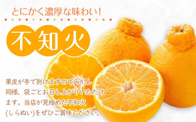 【2026年3月上旬より順次発送】ご家庭向け！濃厚甘味の「不知火(しらぬい)」約5kg｜果物 くだもの フルーツ 柑橘 みかん 不知火  濃厚 甘い ミカン 人気 おすすめ 先行予約 香川 高松 372013_GM009