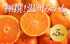 【2025年11月上旬より順次発送】極撰！温州みかん　約5kg｜果物 くだもの フルーツ 柑橘 みかん 温州みかん 人気 おすすめ 先行予約 香川 高松 372013_GM010