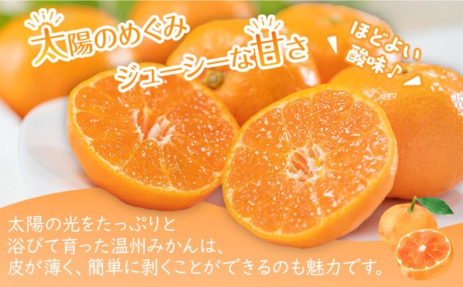 【2026年11月上旬より順次発送】極撰！温州みかん　約5kg｜果物 くだもの フルーツ 柑橘 みかん 温州みかん 人気 おすすめ 先行予約 香川 高松 372013_GM010