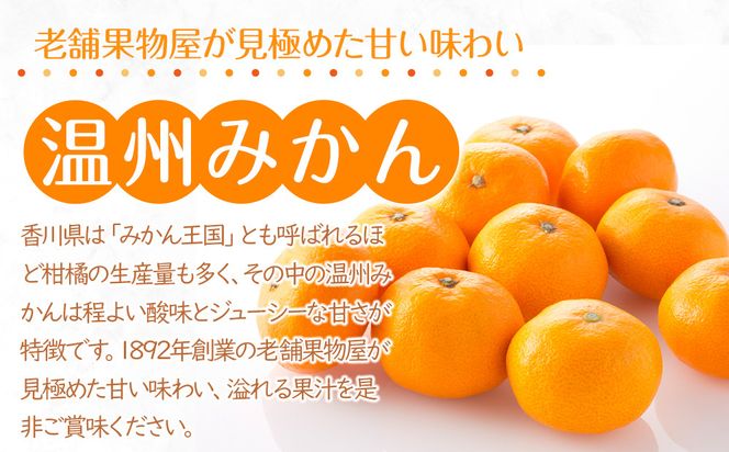【2026年11月上旬より順次発送】極撰！温州みかん　約10kg｜果物 くだもの フルーツ 柑橘 みかん 温州みかん 人気 おすすめ 先行予約 香川 高松 372013_GM011