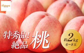 【2026年6月下旬より順次発送】特秀品！絶品「桃」約2kg(6～8玉) 372013_GM012