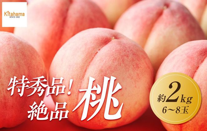 【2026年6月下旬より順次発送】特秀品！絶品「桃」約2kg(6～8玉) 372013_GM012