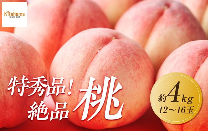 【2026年6月下旬より順次発送】特秀品！絶品「桃」約4kg(12～16玉) 372013_GM013