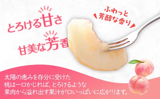 【2026年6月下旬より順次発送】特秀品！絶品「桃」約4kg(12～16玉) 372013_GM013