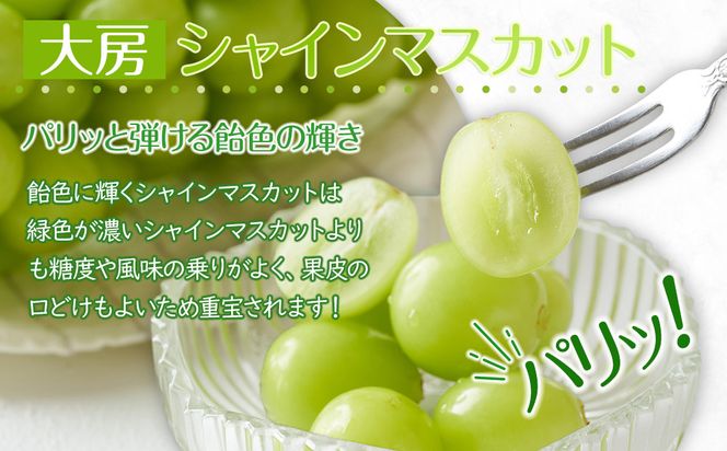 【2026年8月中旬より順次発送】大房シャインマスカット＆ 大房ニューピオーネ　各1房(各約600g｜ぶどう マスカット シャインマスカット ブドウ 種なしぶどう 種無し 葡萄 果物 フルーツ くだもの 先行予約 冷蔵 香川 高松 372013_GM016