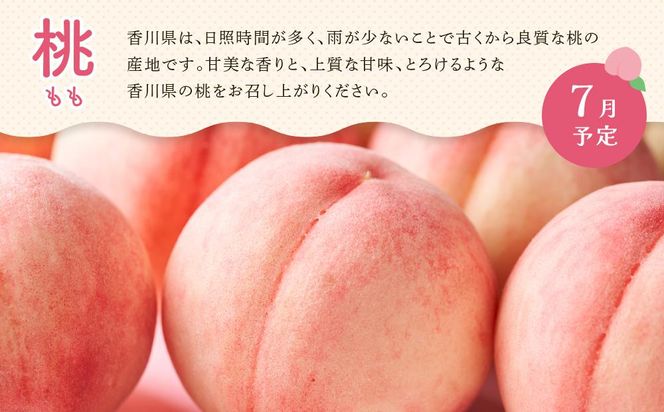 【定期便全3回】夏のいいとこどり定期便（7・8・9月） 372013_GM021