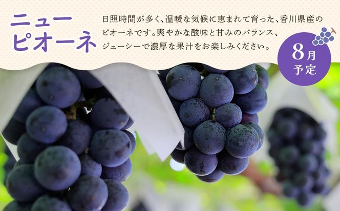 【定期便全3回】夏のいいとこどり定期便（7・8・9月） 372013_GM021